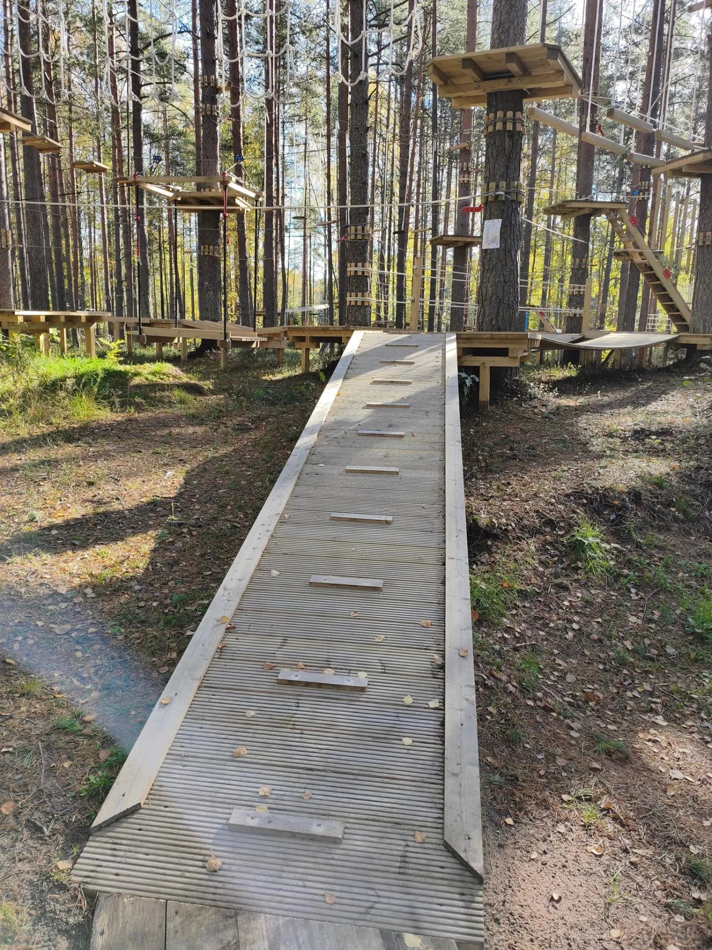 среда (8)